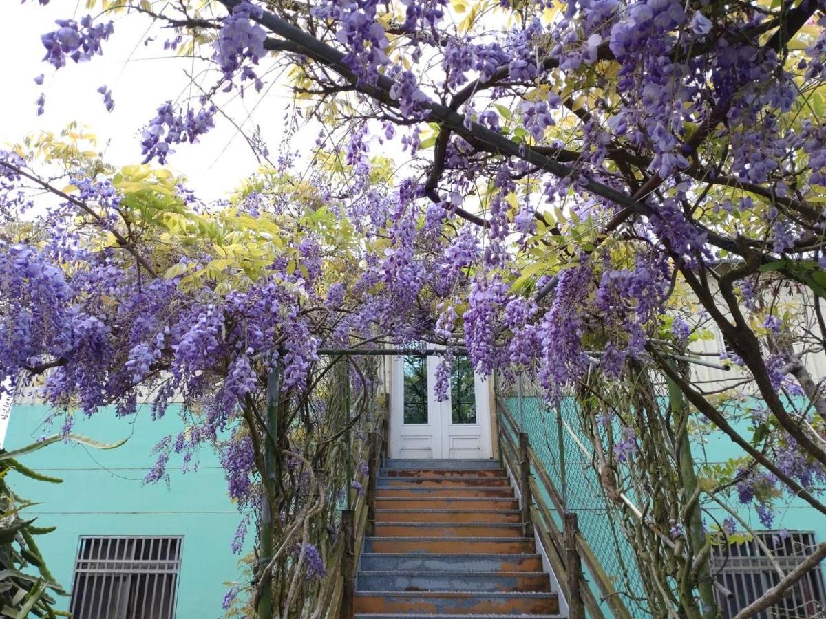 Youlin Homestay Meishan Exterior photo